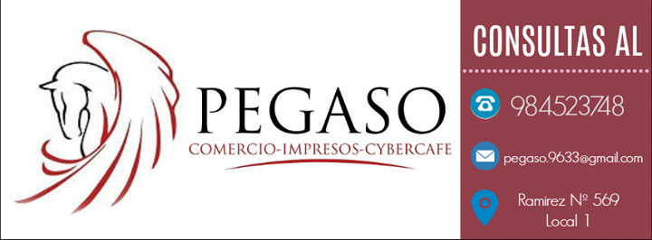 Cyber Pegaso