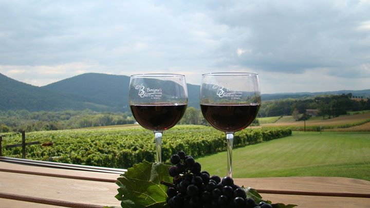 Benigna's Creek Vineyard and Winery