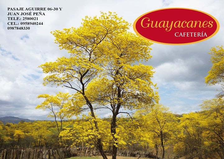 Guayacanes Cafetería