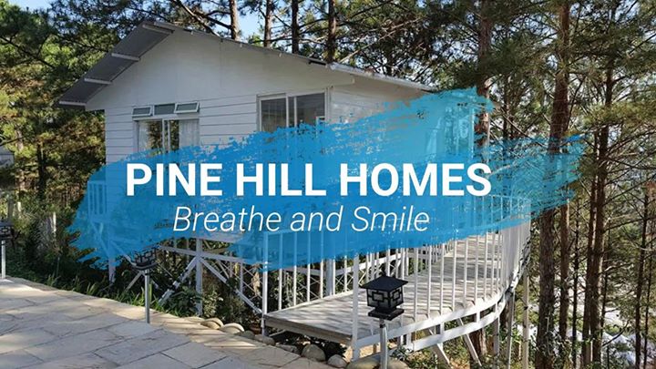 Pine Hill Nhà Trên Cây Homestay Đà Lạt - Để Thở và Cười