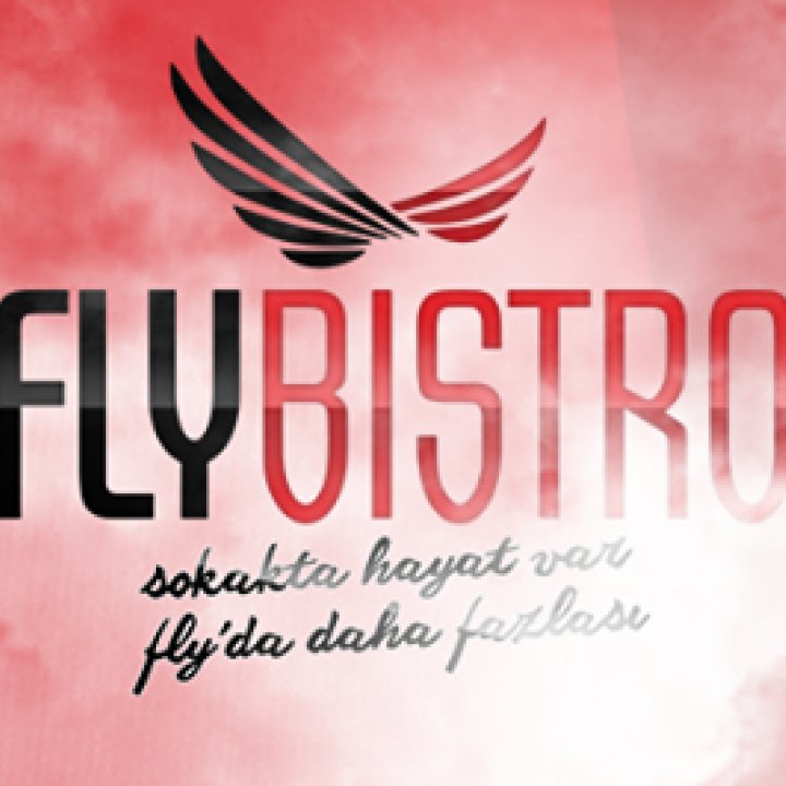 Fly Pub