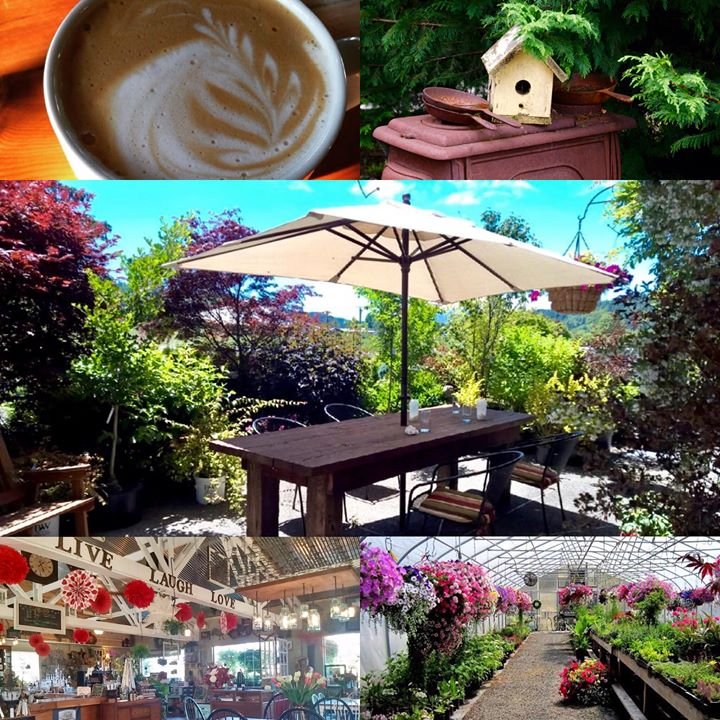 Hidden Acres Greenhouse & Café