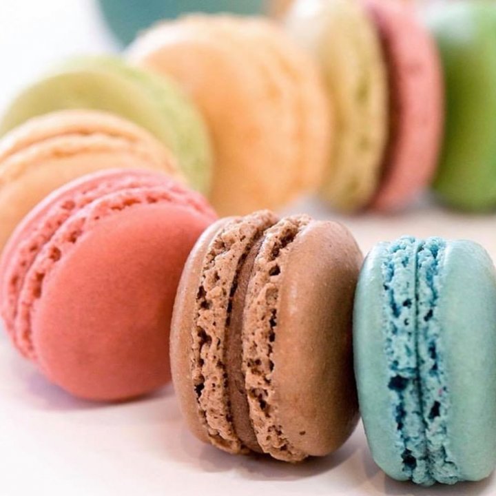 Le Macaron French Pastries Key West
