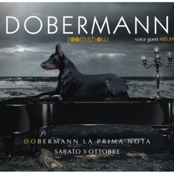 Dobermann