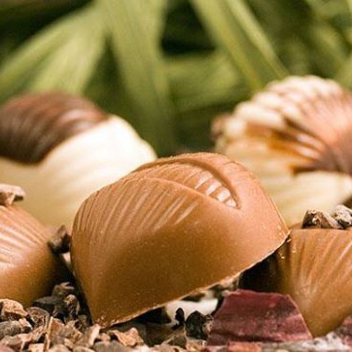 Helena Chocolates Ltd