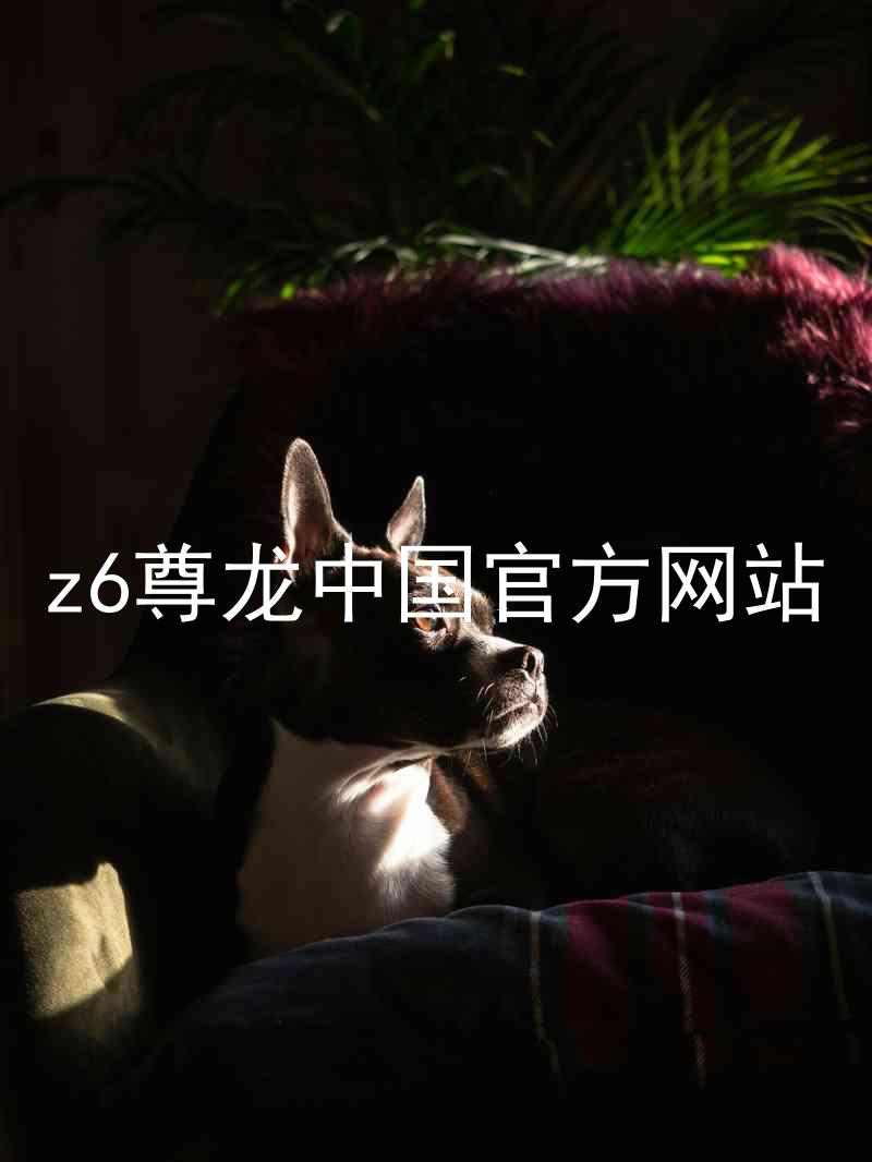 z6尊龙中国官方网站