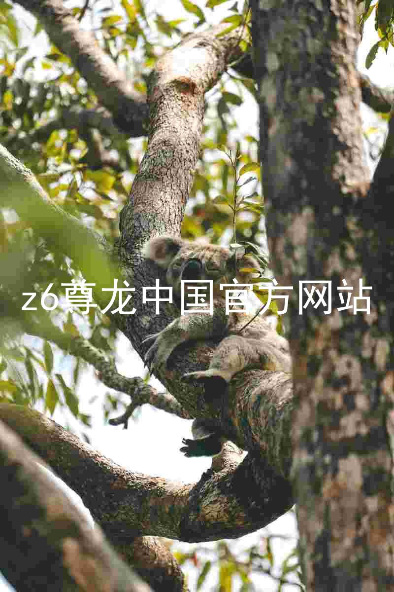 z6尊龙中国官方网站