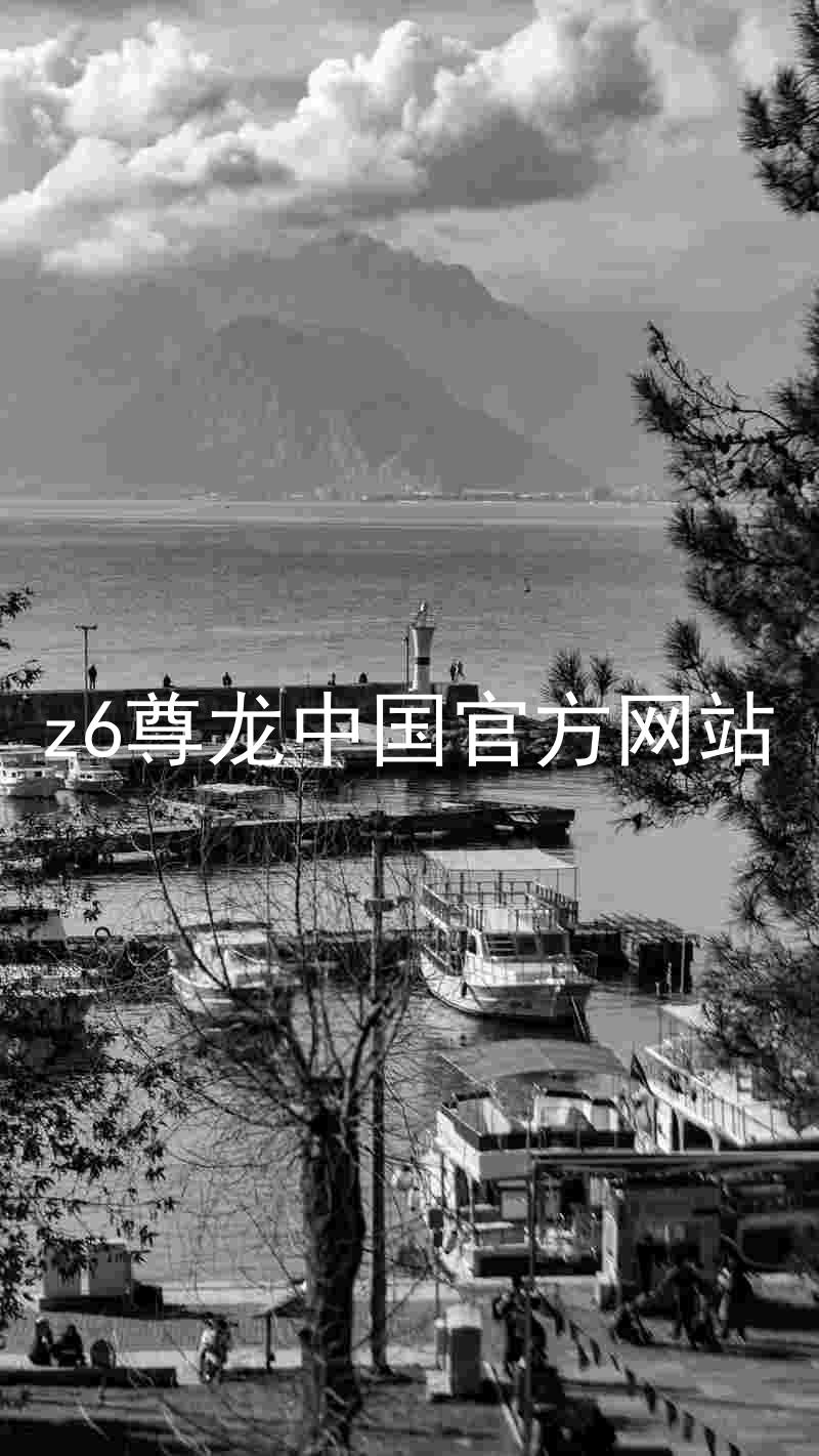 z6尊龙中国官方网站