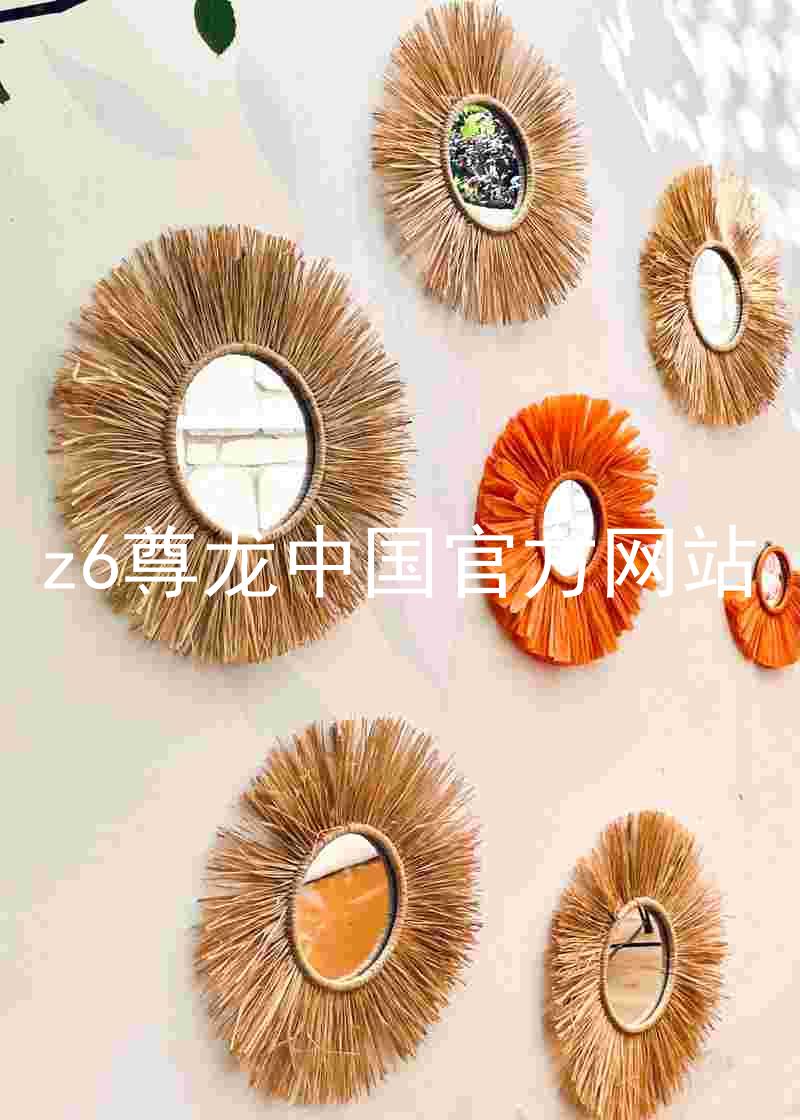 z6尊龙中国官方网站