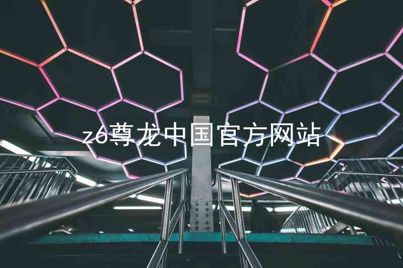 z6尊龙中国官方网站